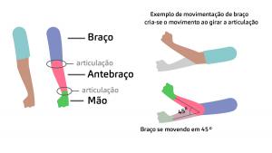 processo de animacao